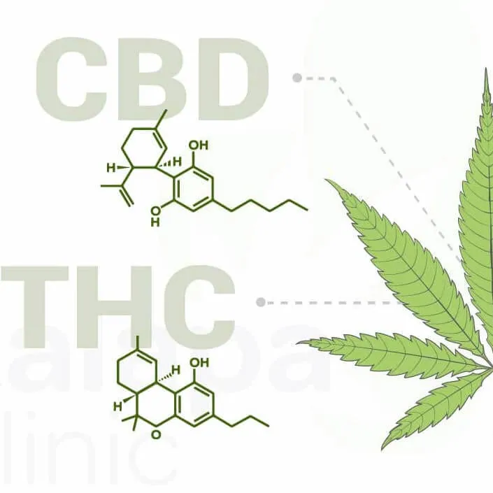 LE CBD EN 2020, ON FAIT LE POINT !