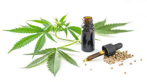 Chanvre, Cannabis CBD, de la fleur au chènevis