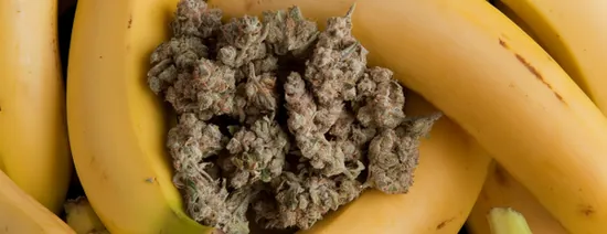 Quelles différences entre le distillat CBD et l'isolat CBD ? — illustration