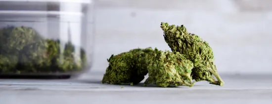 L'huile de CBD a-t-elle un bienfait pour les cheveux ? — illustration