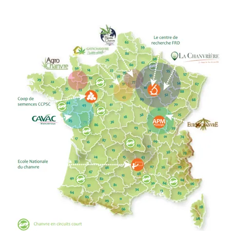 La culture du chanvre en France — illustration