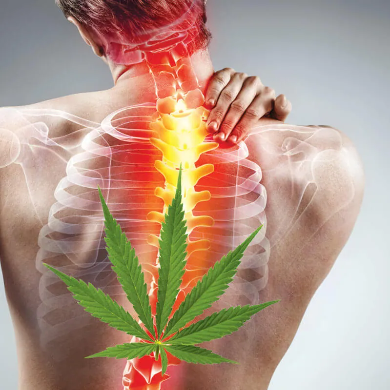 CBD et dos : ce qu’il faut savoir