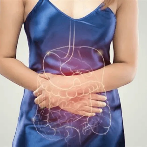 CBD et digestion : ce qu’il faut savoir