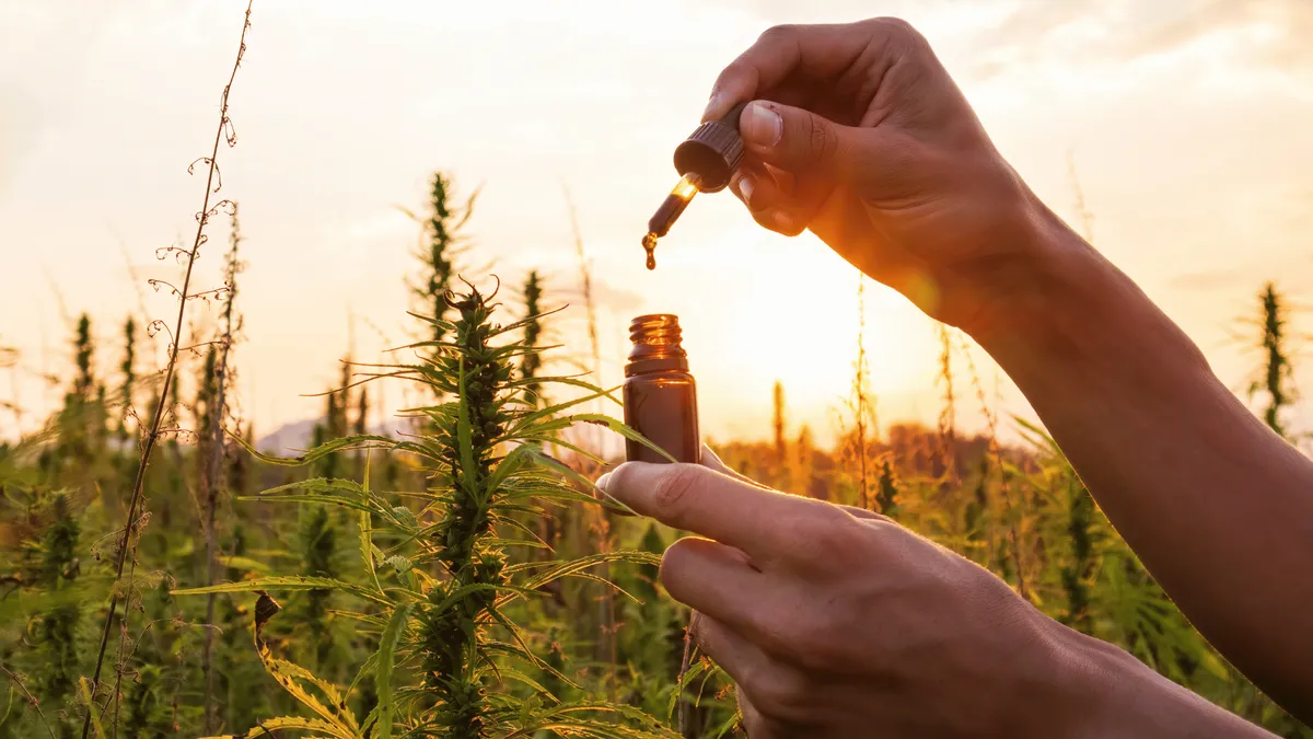 Quelle est la meilleure huile de CBD ?