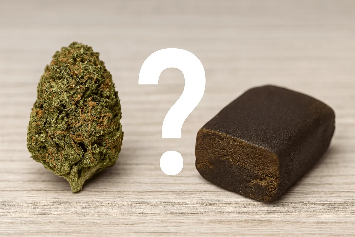Résine ou fleur de CBD : quel produit choisir et pourquoi ?