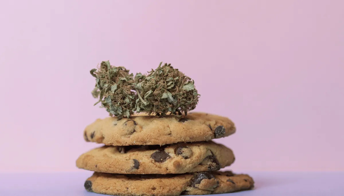 Les variétés Cookies : origines, effets et popularité