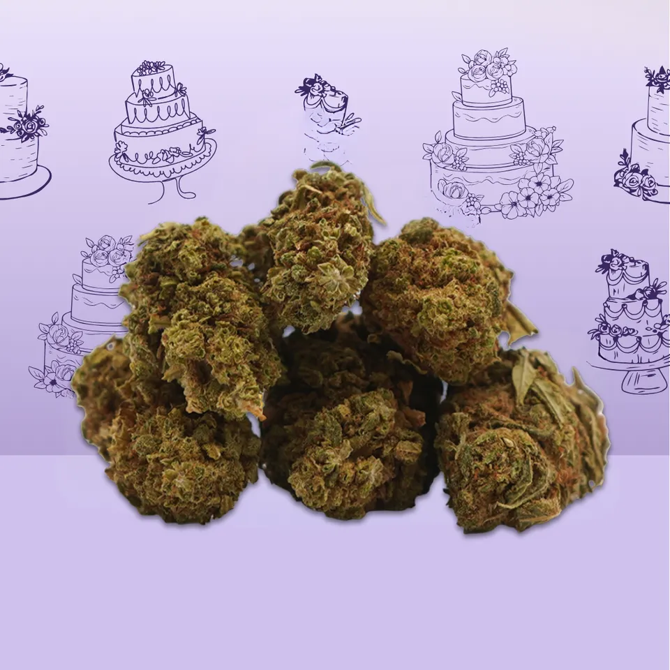 Wedding Cake Small Buds — fleur de CBD — vue principale