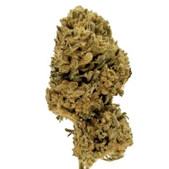 Pineapple Express — fleur de CBD indoor — vue 2 sur 8