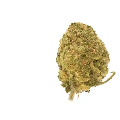 Alien Kush ‍ — fleur de CBD hydroponique — vue 3 sur 3
