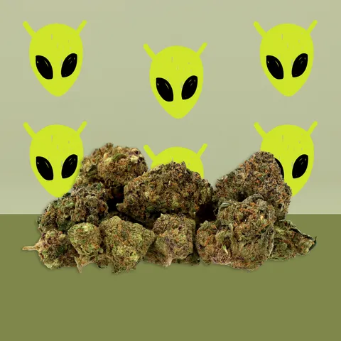 Alien Kush ‍ — fleur de CBD hydroponique — vue principale