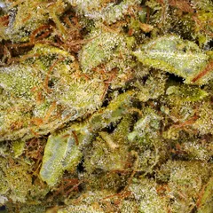 Amnesia — fleur de CBD hydroponique — vue 2 sur 3
