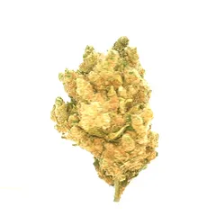 Amnesia — fleur de CBD hydroponique — vue 3 sur 3