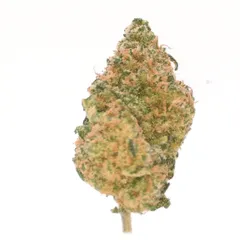 Blue Dream — fleur de CBD hydroponique — vue 3 sur 3