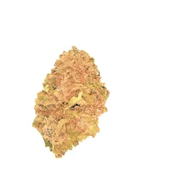 Blue Zushi — fleur de CBD greenhouse — vue 3 sur 3