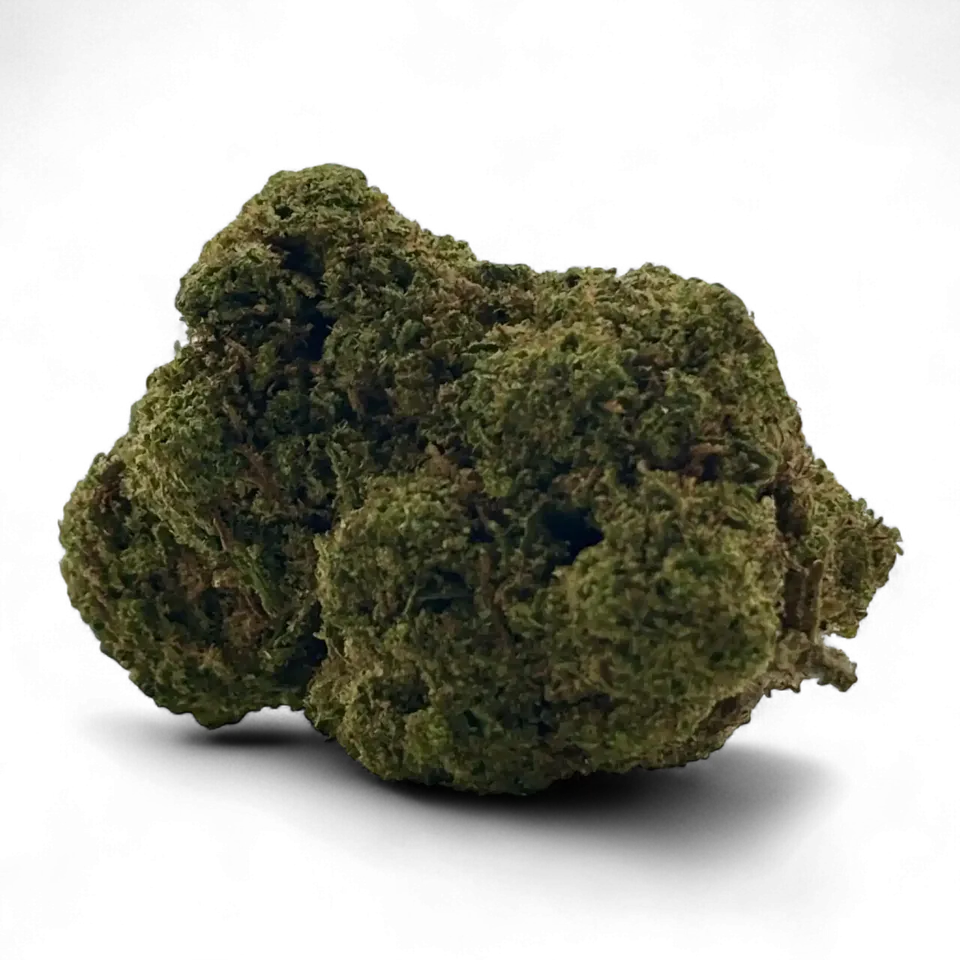 Mango+