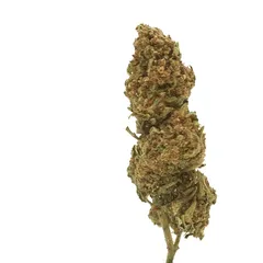 Zkittlez — fleur de CBD greenhouse — vue 3 sur 3