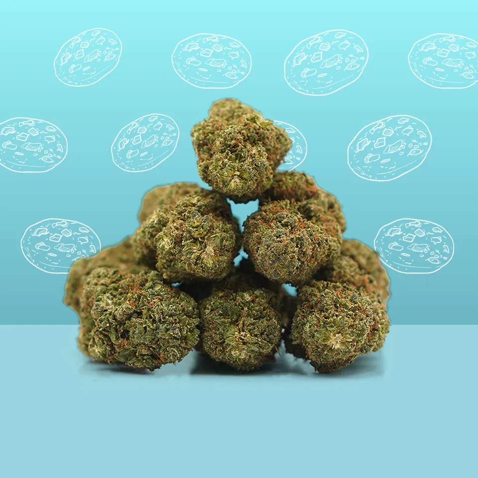 Cookie Kush — fleur de CBD indoor — vue principale