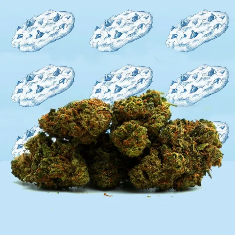 Cookie Kush Small Buds — fleur de CBD — vue principale