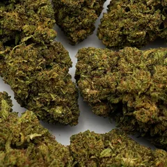 Hawaiian — fleur de CBD indoor — vue 3 sur 4