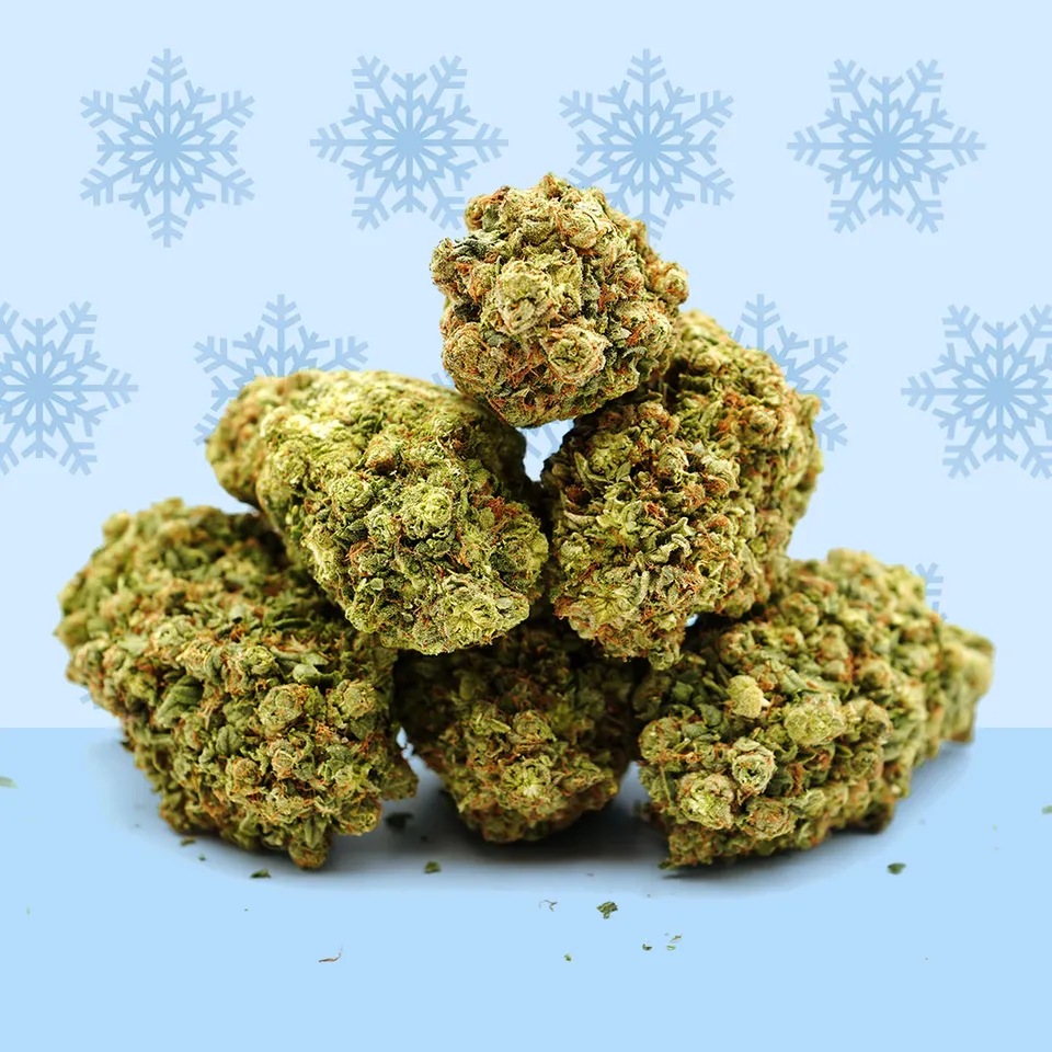Frozen — fleur de CBD hydroponique — vue principale