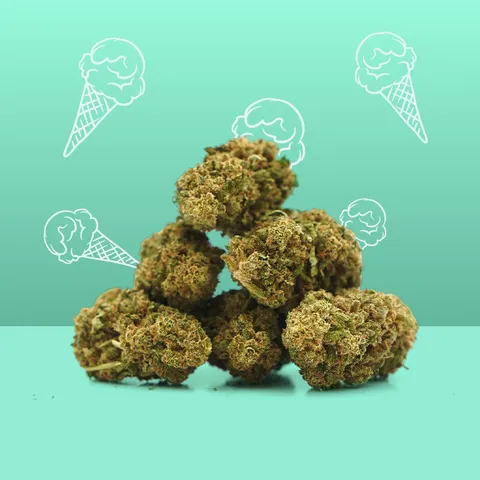 Gelato — fleur de CBD indoor — vue principale