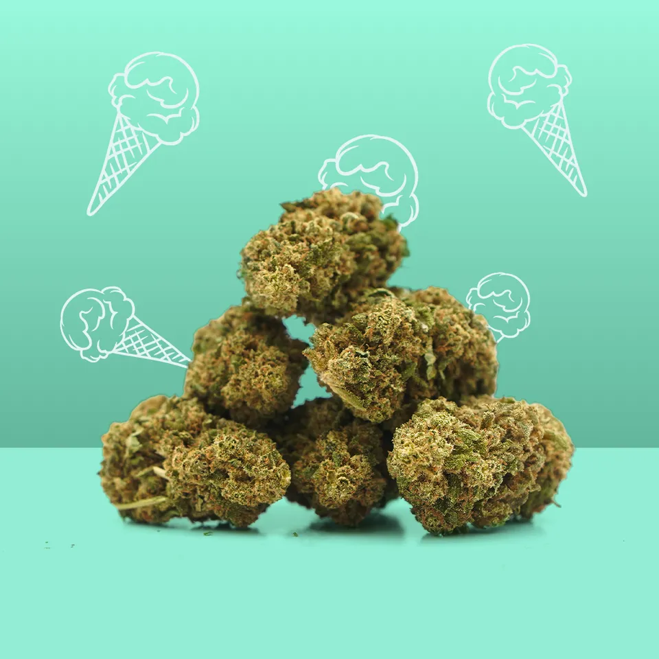 Gelato — fleur de CBD indoor — vue principale