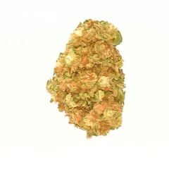 Gelato — fleur de CBD indoor — vue 3 sur 3