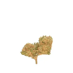 Harlequin — fleur de CBD greenhouse — vue 3 sur 3