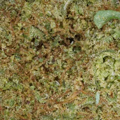 Kryptonite — fleur de CBD hydroponique — vue 2 sur 3