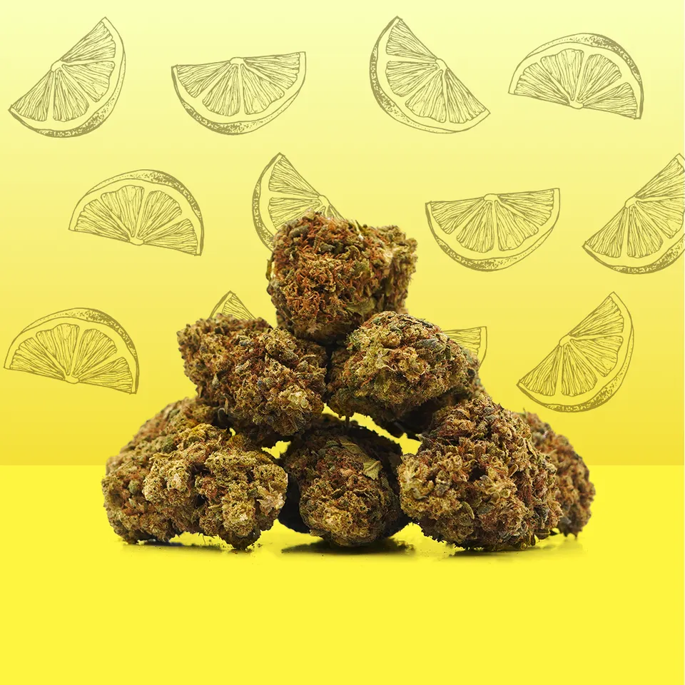 Lemon — fleur de CBD greenhouse — vue principale