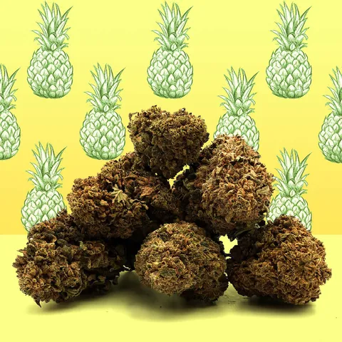 Pineapple Express — fleur de CBD indoor — vue principale