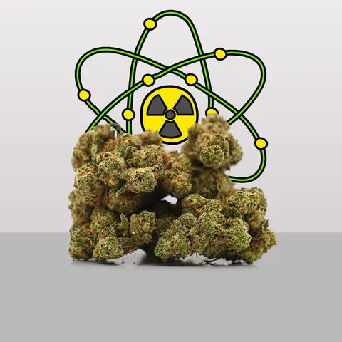 Plutonium — fleur de CBD hydroponique — vue principale