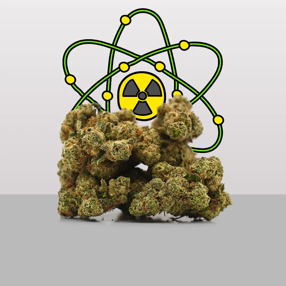 Plutonium — fleur de CBD hydroponique — vue principale