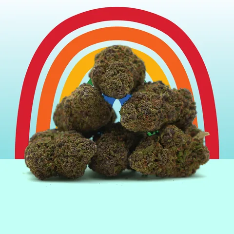 Rainbow Runtz — fleur de CBD indoor — vue principale
