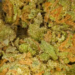 Strawberry — fleur de CBD indoor — vue 2 sur 3