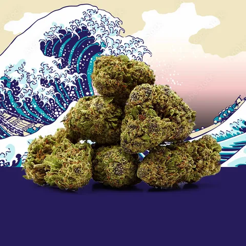 Blue Zushi — fleur de CBD greenhouse — vue principale