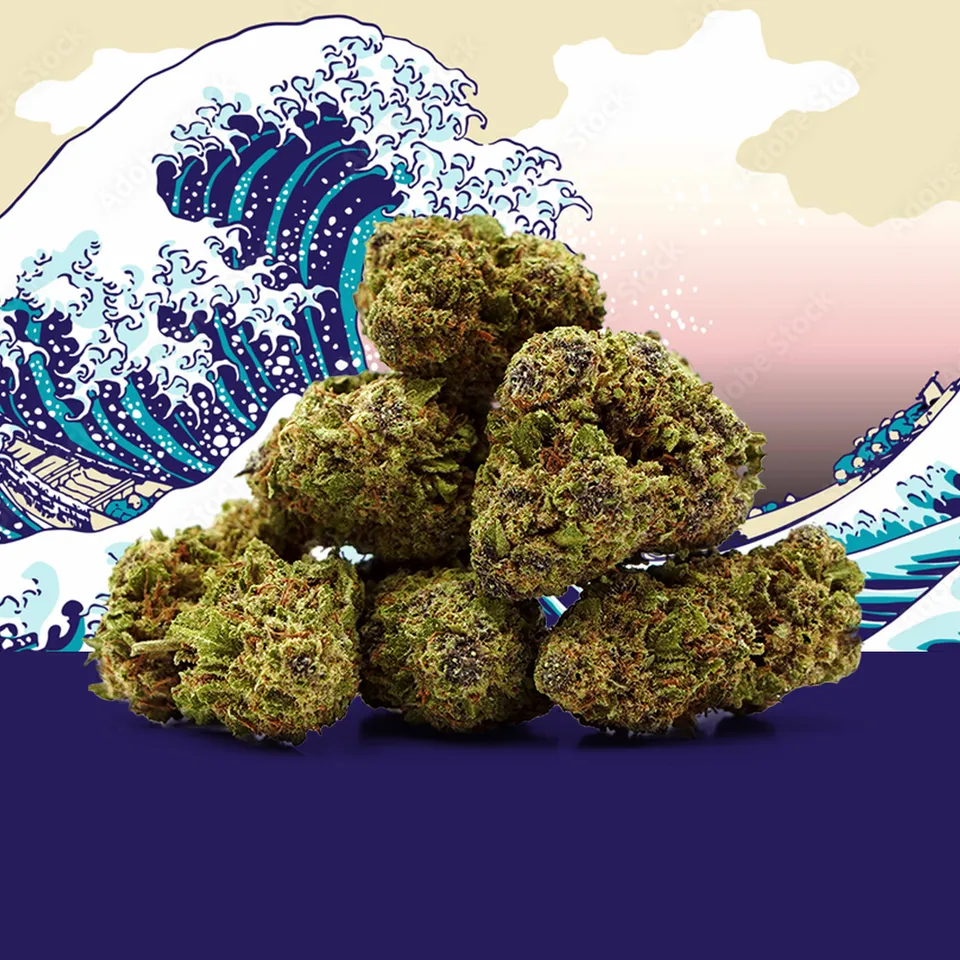 Blue Zushi — fleur de CBD greenhouse — vue principale